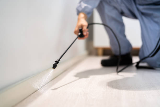 Licensed Termite Control service in Augusta, AR - Nex Pest Control