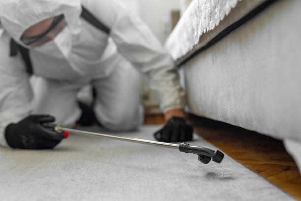 Professional Termite Control technician working in Augusta, AR