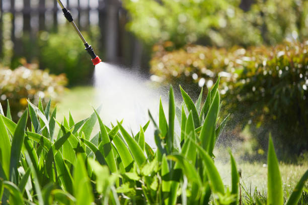 24/7 Emergency Termite Control experts in Augusta, AR